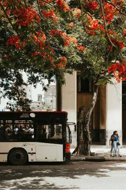 Bus an Haltestelle